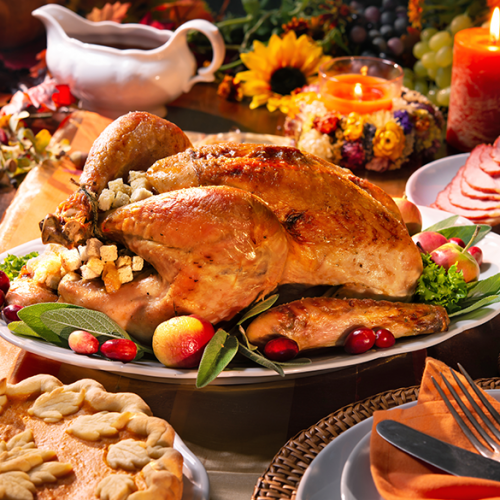 Pavo para Thanksgiving - Vidactual